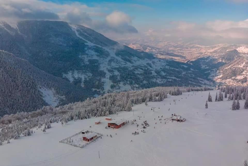 Piatra Soimului Hotel Vişeu de Sus Exterior foto