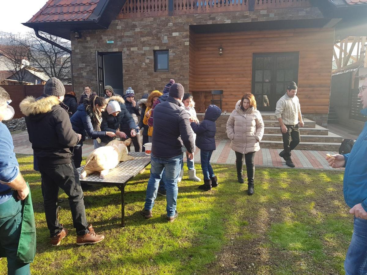 Piatra Soimului Hotel Vişeu de Sus Exterior foto