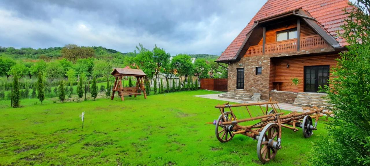 Piatra Soimului Hotel Vişeu de Sus Exterior foto